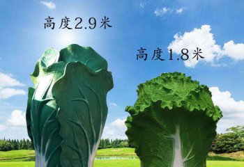 白菜雕塑-室內玻璃鋼白菜雕塑