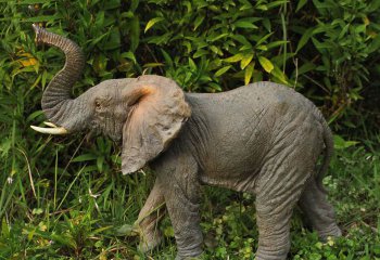 大象雕塑-戶外草坪玻璃鋼仿真動物大象雕塑