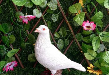 鴿子雕塑-花園玻璃鋼仿真動物裝飾品工藝鴿子雕塑