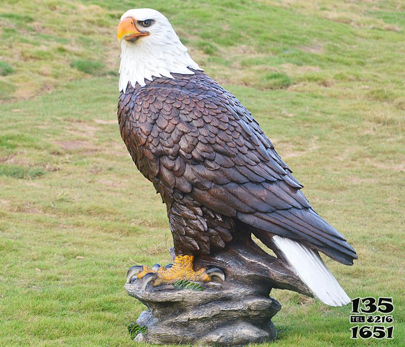 老鷹雕塑-動物園一只孤獨(dú)的樹脂老鷹雕塑