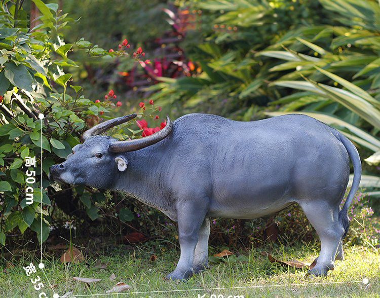 玻璃鋼仿真水牛雕塑-玻璃鋼仿真水牛雕塑公園動物雕塑高清圖片