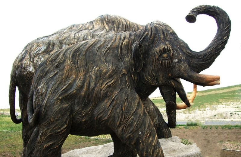 銅雕長毛象動物雕塑-公園銅雕長毛象高清圖片